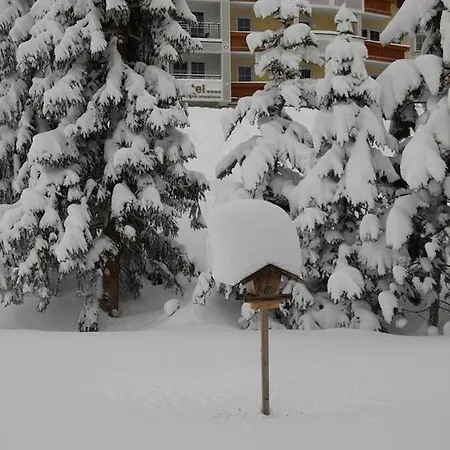 Haus Anemone アパート ザーファウス